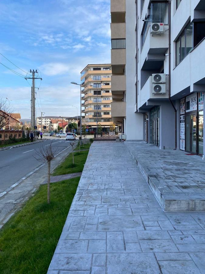 Apartament David Râmnicu Vâlcea Eksteriør bilde